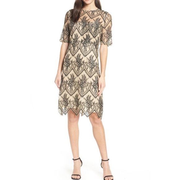 Tan and Black Caara Revolve Scalloped Lace Overlay Shift Dress - Picture 1 of 16